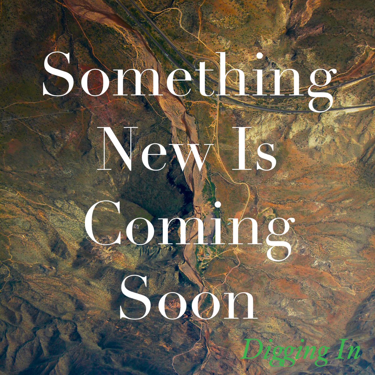 Digging_In's tweet image. 