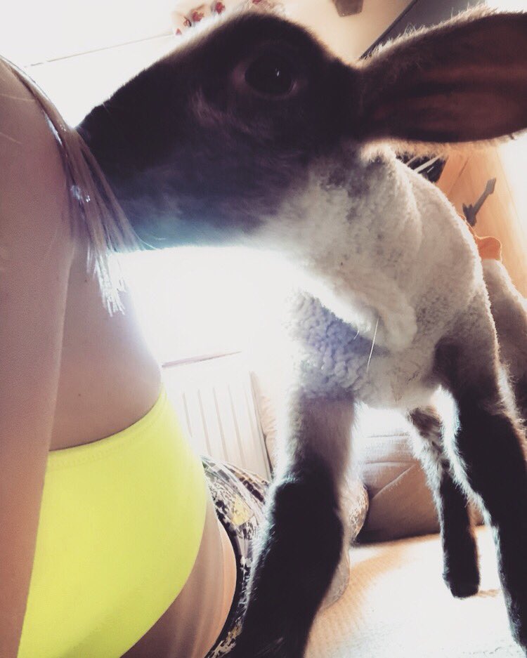 Lupa London co-founder working out with her Lamb 🏋️‍♀️. Who else has an unusual workout buddy? 
#activewear #lamb #petlamb #workoutbuddy #motivation #weighttraining #farmanimals #gymfriends #luxurysportswear #luxuryfashion #gymwear #womensfashion #workoutwear