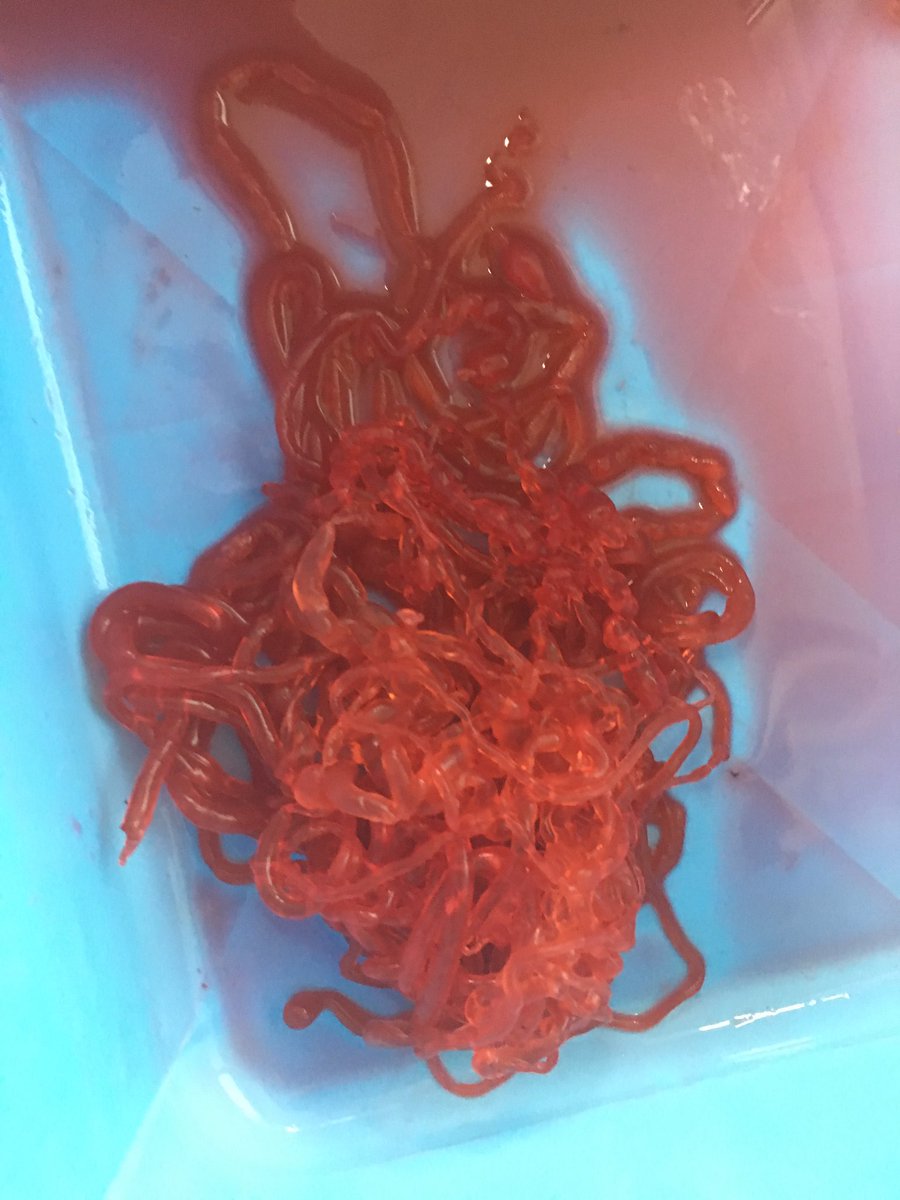 MrWingar's tweet photo. Sodium Alginate + Calcium Chloride + red food dye = a fun mess had by all 👨‍🔬👨🏻‍🏫👩‍🔬 https://t.co/5RM4zFZ2hH
