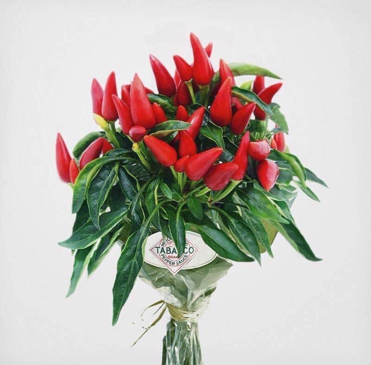 Tabasco_sa's tweet photo. #الخميس_الونيس نتمنى لكم نهاية اسبوع سعيد مع #شطة_تباسكو 🔥🌶 #رتويت #رابطة_عشاق_تباسكو #شطة #فلفل #خميسكم_فله  #ويكند_سعيد #رحلة #هاشتاق #متابعيني #مشاهير #فنادق #فندق #اليوم #اكلات #مطبخ_سيدتي #مطاعم #مطعم #كافيهات #كافيه #الرياض_الان #weekend #HappyWeekend #يوم_الخميس https://t.co/bVeb9VMpdI