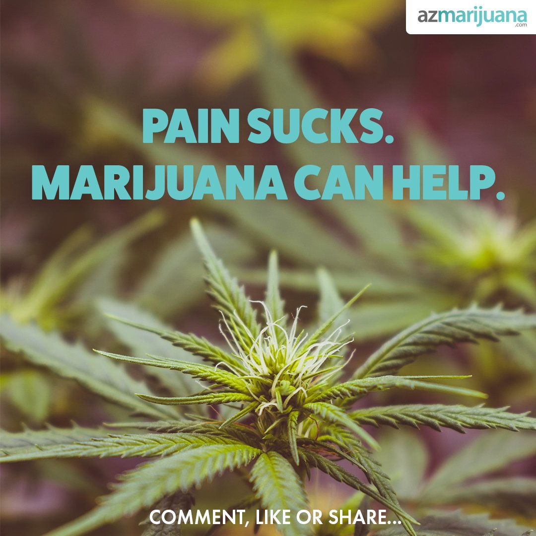 azmarijuana's tweet photo. Stop pain naturally... https://t.co/FBcQslx9ZD  

#azmarijuana #azmmj #azprop203 #prop203az #azdispensary #azmmjpatient #prop203 #azcannabis #az #arizona #phoenix #tucson #azmmjcommunity  #azcannabiscommunity #420az #cancer #health #rx #healthcare #cbd #thc #pain #mmj #relief https://t.co/PSpHWExm1W