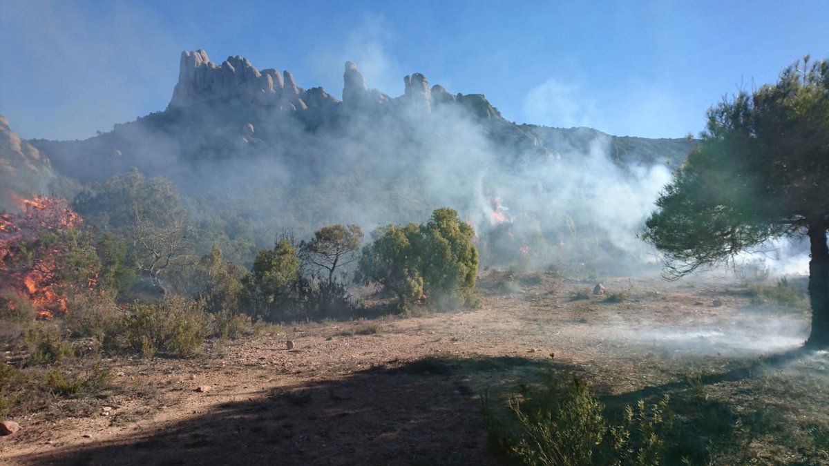 Del 15 de març al 15 octubre està prohibit fer foc a terrenys forestals i franja 500m que els envolta. #adfcat #incendis Si veieu columna de fum truqueu <a href="/112/">112</a>. Recorda, al bosc cap foc!