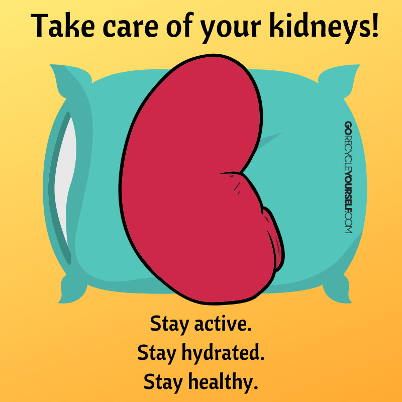 It's #PiDay AND #WorldKidneyDay! As you celebrate with a slice of pi(e), remember to #HeartYourKidneys! And REGISTER to #recycleyourself!