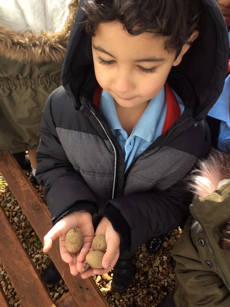 AHPA_Reception's tweet photo. #abbeyheyscienceweek we have been planting lots of seeds in our nature garden and watching them grow. https://t.co/wfSBTAVPbB