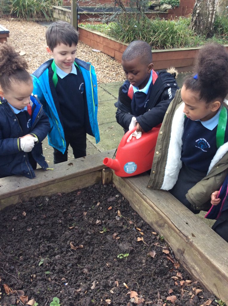 AHPA_Reception's tweet photo. #abbeyheyscienceweek we have been planting lots of seeds in our nature garden and watching them grow. https://t.co/wfSBTAVPbB
