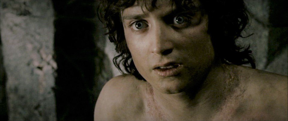 Elijah Wood 'Surprised' By New Lord of the Rings Movies