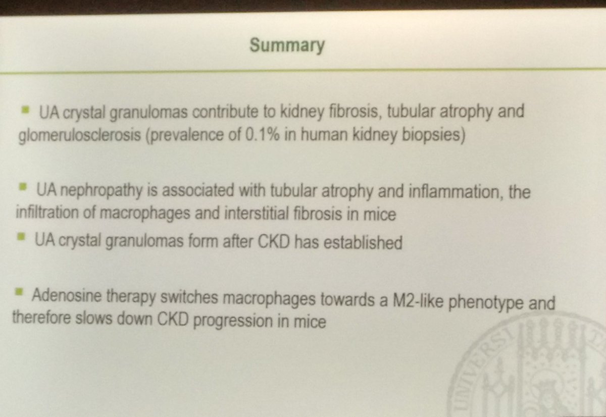 enriquecalvoA's tweet photo. Nefropatía por urato, fibrosis, granulomas...
#urate
#uricacid
#CKD
#ECN19 https://t.co/rUM3dIUs0N