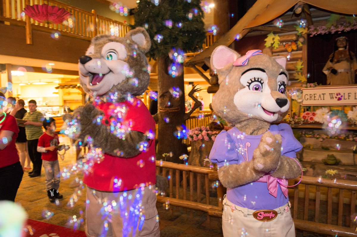 LauraT_Funk's tweet photo. Looking for a fun family getaway? You have to see what the fuss is about at @GreatWolfLodge for #SpringAPalooza!
https://t.co/qX1dHgJLuh https://t.co/dz0QqowbLE