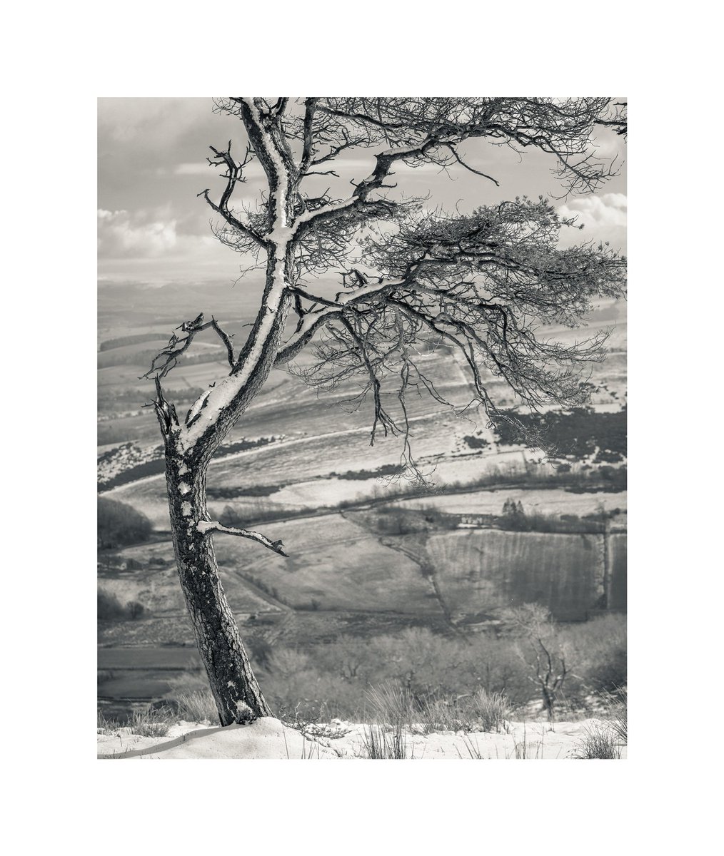 Great Mell Fell #5565 <a href="/PictureCumbria/">Picture Cumbria</a> @CumbriaArt <a href="/farfieldmill/">Farfield Mill</a> @ocgarts <a href="/OPOTY/">Outdoor Photography</a> <a href="/AP_Magazine/">Amateur Photographer</a> <a href="/nikonownermag/">Nikon Owner</a> <a href="/NikonProEurope/">Nikon Pro</a> <a href="/UKNikon/">Nikon UK & Ireland</a> @WoodlandTrust <a href="/NTCentralFells/">NT Fell Rangers</a> @NT_NorthWest @NTNorthLakes <a href="/keswickbootco/">Keswick boot co</a> <a href="/Rohantime/">Rohan</a>