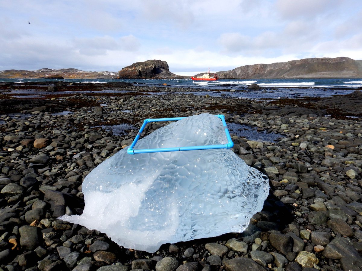 erasmomac's tweet photo. Cuando el análisis de cobertura en el intermareal no es complicado, Isla Rey Jorge, #Antárctica 👉 Hielo 100%, fácil 👌😝  #ECA55 🙂 #AntarcticaIDEAL #ECAIDEAL2019 #AlgaLabECA55 #Antarctica ❄️🇦🇶 https://t.co/qgIjoh8vj0