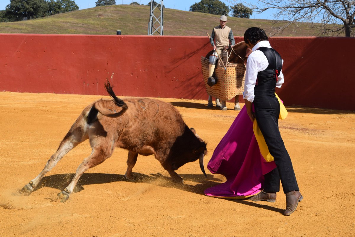 ESTA NOCHE// A las 21.30 entrevista con <a href="/_Antonionazare_/">Prensa Antonio Nazaré</a> y reportaje con <a href="/peperuiztorero/">pepe ruiz muñoz</a> De la mano de <a href="/GRayoVictor/">Víctor García-Rayo</a> vive la fiesta más maravillosa del mundo.
Hoy en <a href="/7TVAndalucia/">7TV Andalucía</a>