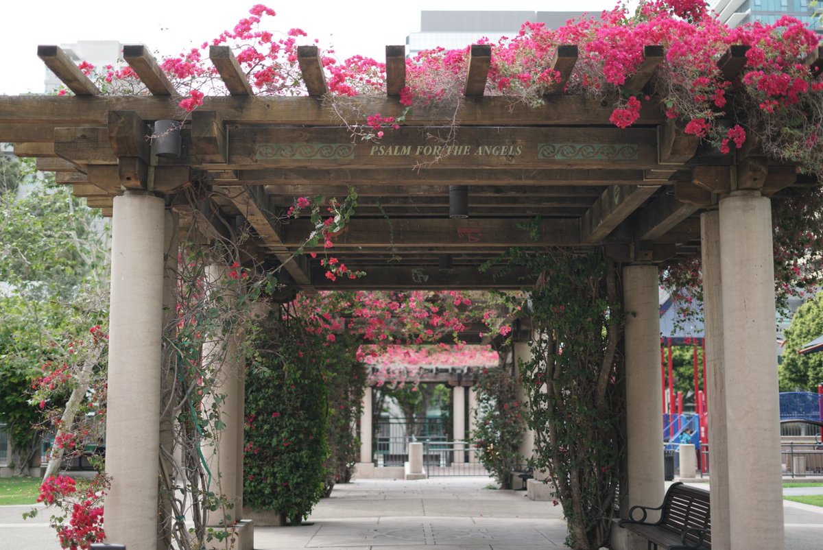 thehappiestmind's tweet photo. #Q3: How does FIDM help you get through finals? #FIDMFinals 

FIDM provides great resources like @FIDM_Library and the annex. I love spending time at the campus, researching and working on my final projects. https://t.co/wBooImCoUj