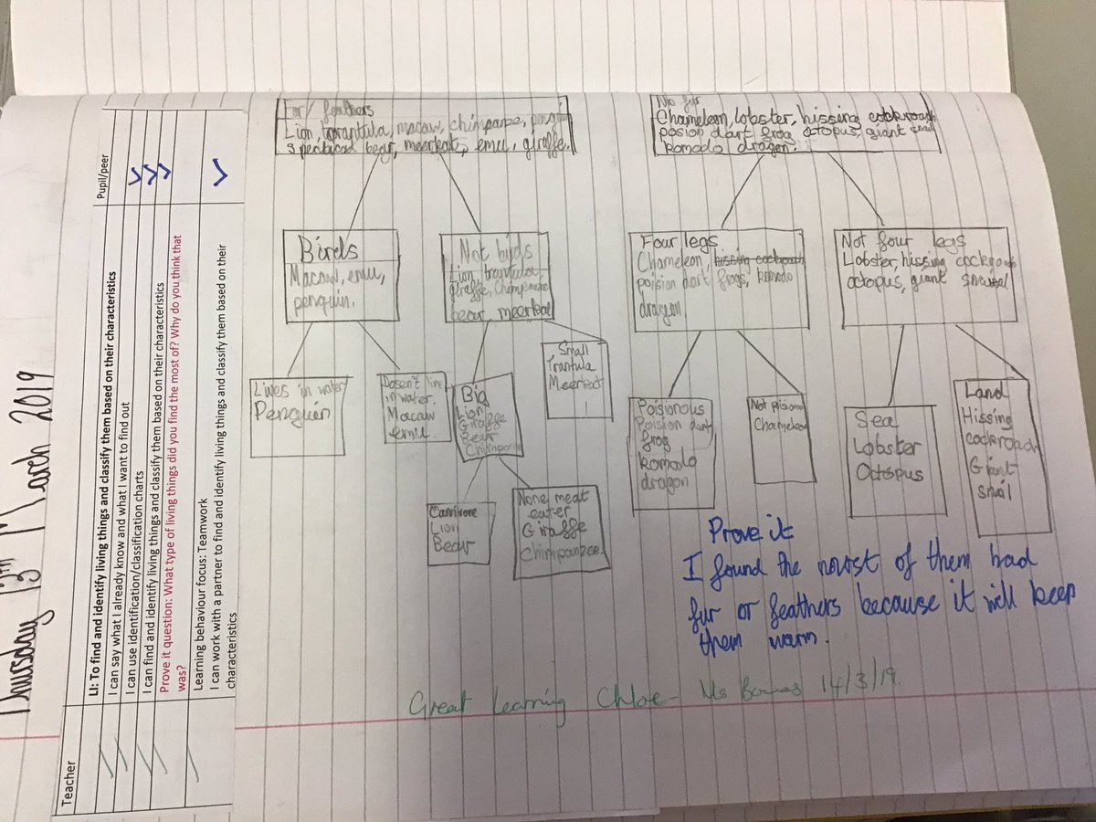DGprimaryschool's tweet photo. Year 6 have been learning how to be taxonomists this afternoon, they had to think carefully about the similarities and differences between each species and classify them accordingly. Here are some samples of their work. #science #taxonomists #achievement #classifyinglivingthings https://t.co/vQOCwAwJUm
