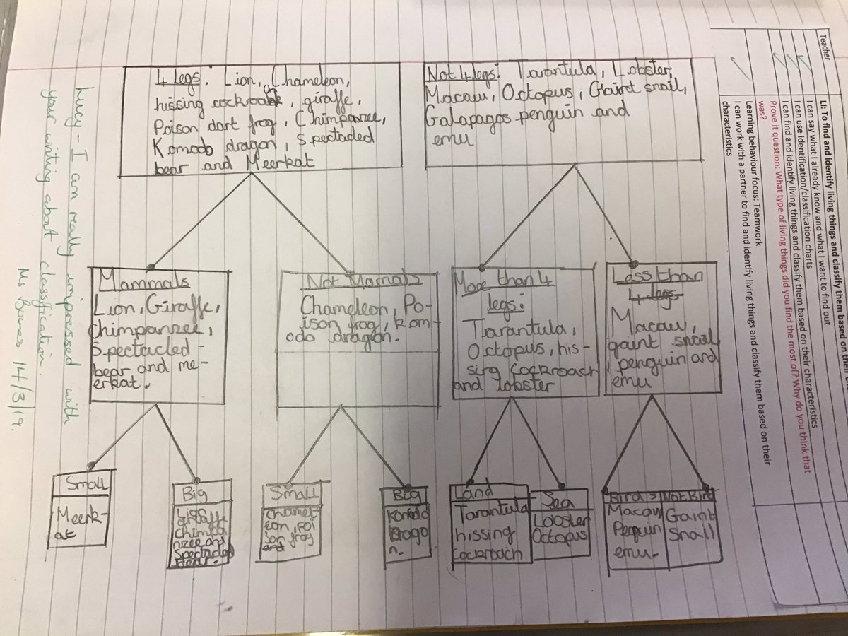 DGprimaryschool's tweet photo. Year 6 have been learning how to be taxonomists this afternoon, they had to think carefully about the similarities and differences between each species and classify them accordingly. Here are some samples of their work. #science #taxonomists #achievement #classifyinglivingthings https://t.co/vQOCwAwJUm