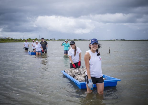 sharegivedo's tweet photo. #TBTfeature The Galveston Bay Foundation is a non-profit established in 1987 whose mission is to preserve and enhance Galveston Bay as a healthy and productive place for generations to come.  Read more about Galveston Bay Foundation at https://t.co/cGb8SUHms5 
@gbayfoundation https://t.co/o6LWglo06n