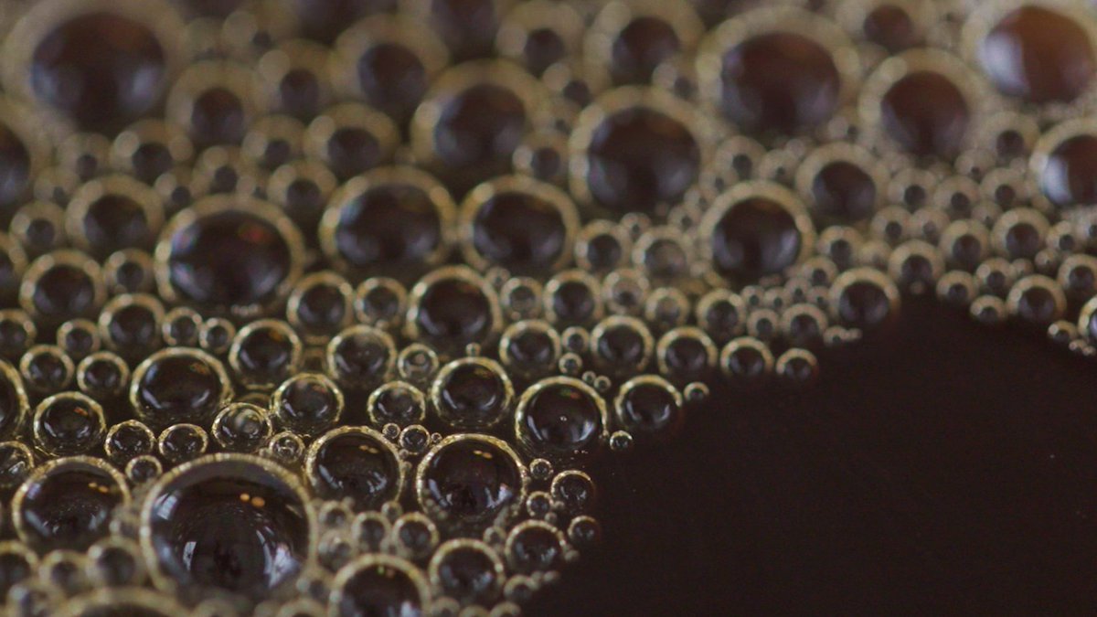 How did the rise of coffee-connoisseur culture come to be? nyer.cm/K0rKpUO