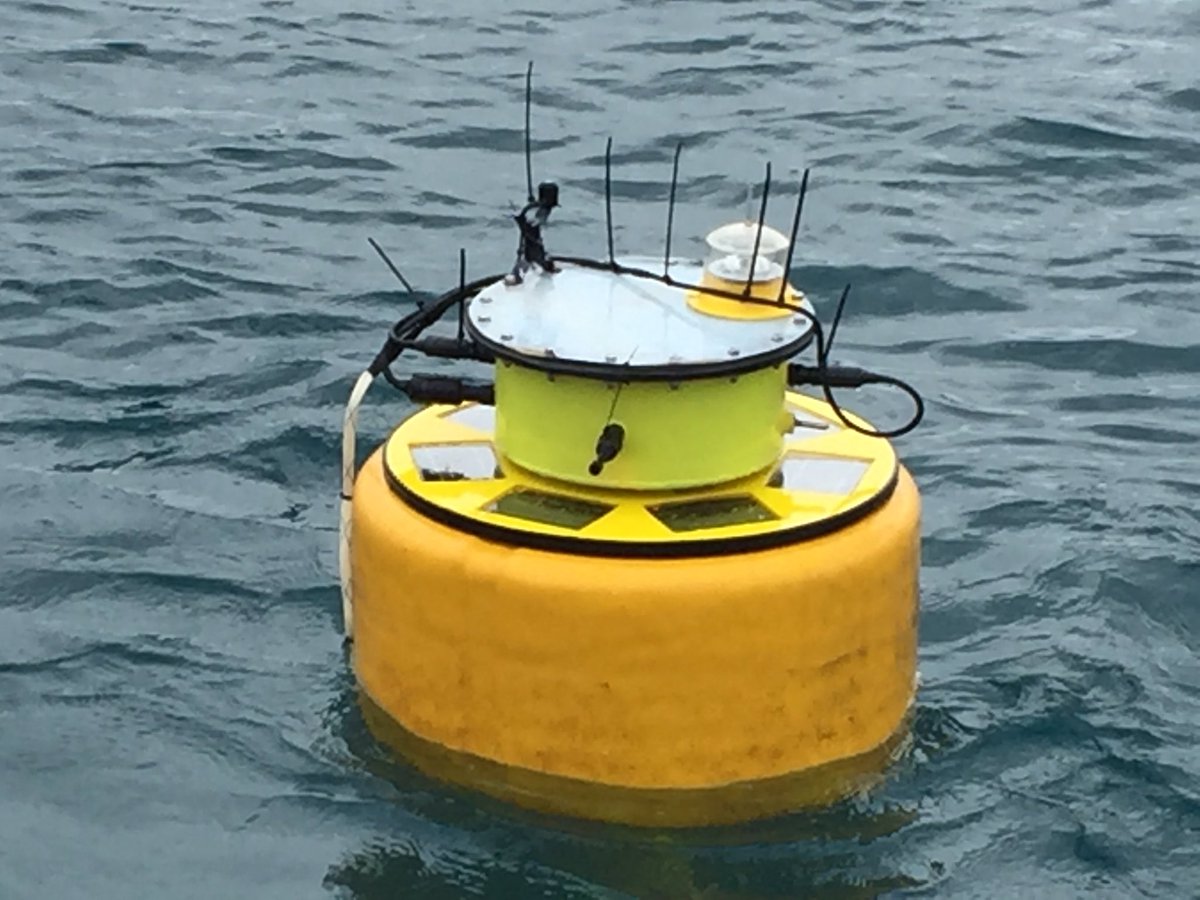 GliderPLOCAN's tweet image. #oceanographic #buoy successfully refurbished @PortoSantoDeals @Madeira #APRAM #OOM #ECOMARPORTproject @INTERREGMAC @Interreg_eu @plocan @AtlanticAll #ocean #sensor #TechnologyNews
