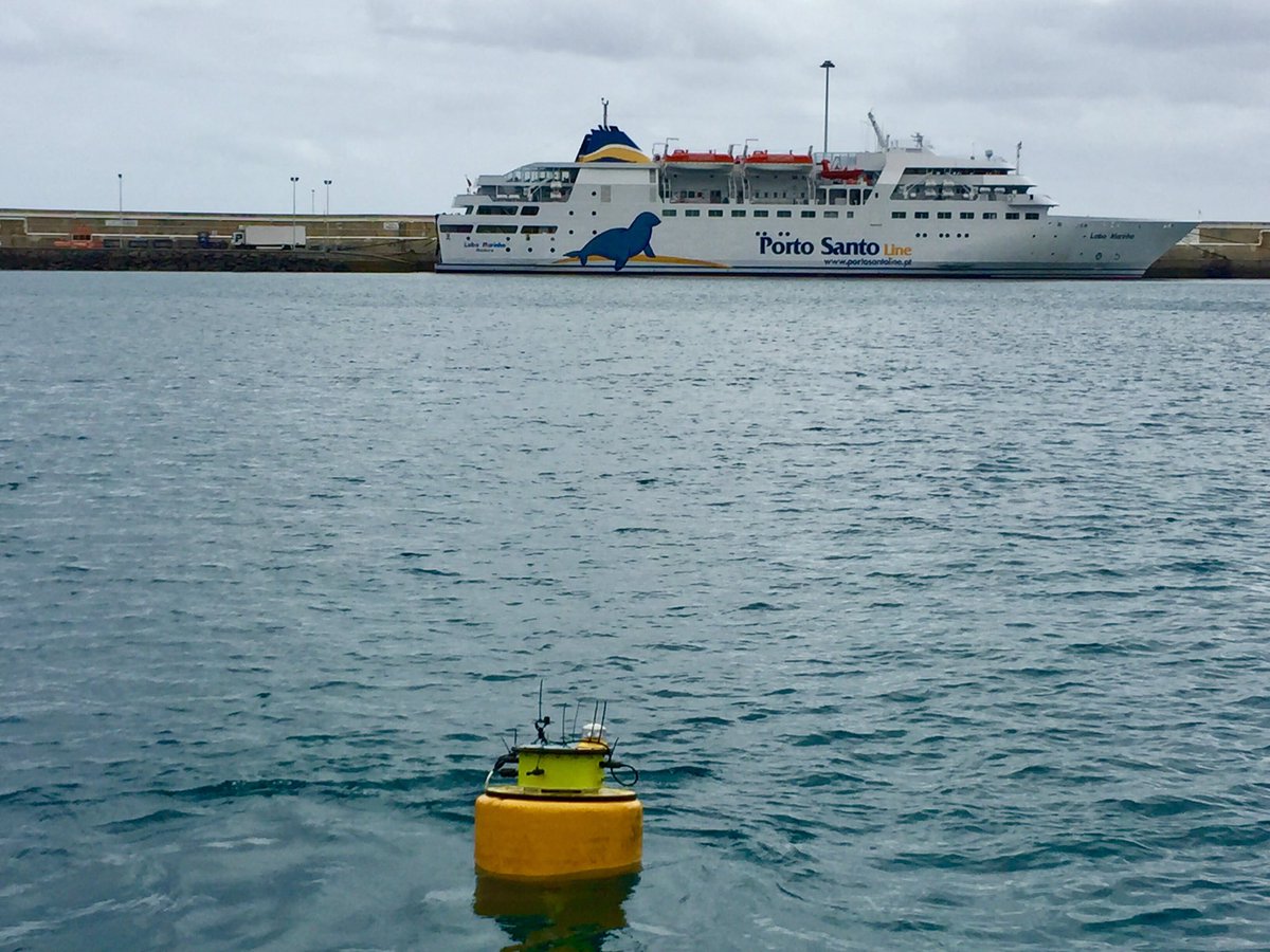 GliderPLOCAN's tweet image. #oceanographic #buoy successfully refurbished @PortoSantoDeals @Madeira #APRAM #OOM #ECOMARPORTproject @INTERREGMAC @Interreg_eu @plocan @AtlanticAll #ocean #sensor #TechnologyNews