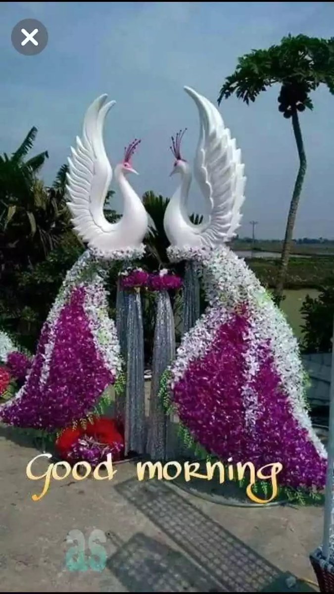 kanchhdi's tweet photo. कनछेदी सिह https://t.co/6bOZkASxox