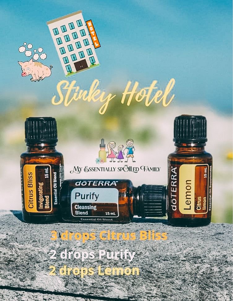 TanyaPuls's tweet photo. Pee-ew! This blend was a lifesaver on our Florida trip. 🌴Our #hotel had a great view, but the rooms were old and SMELLY. 🤢 This made our stay doable!
**Stinky Hotel**
3 drops Citrus Bliss
2 drops Purify
2 drop Lemon
@BBlogRT @LovingBlogs 
#travel #hotelroom #doterra #traveltips https://t.co/6COkWmCBJk