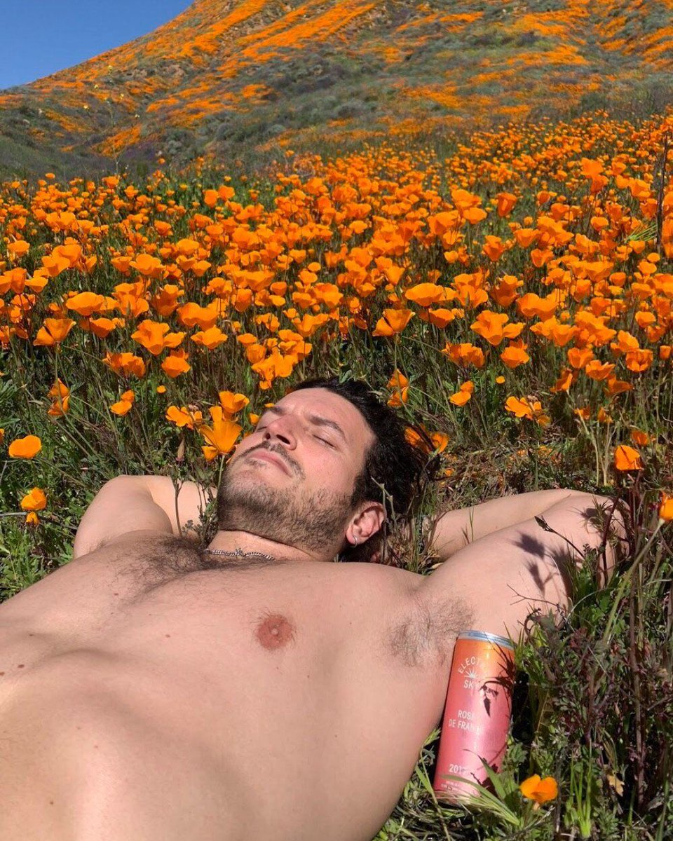 In full bloom 🌞🌹👯
.
.
.
.
.
.
#superbloom  #californiapoppy #roseallday #visitcalifornia #leavenotrace