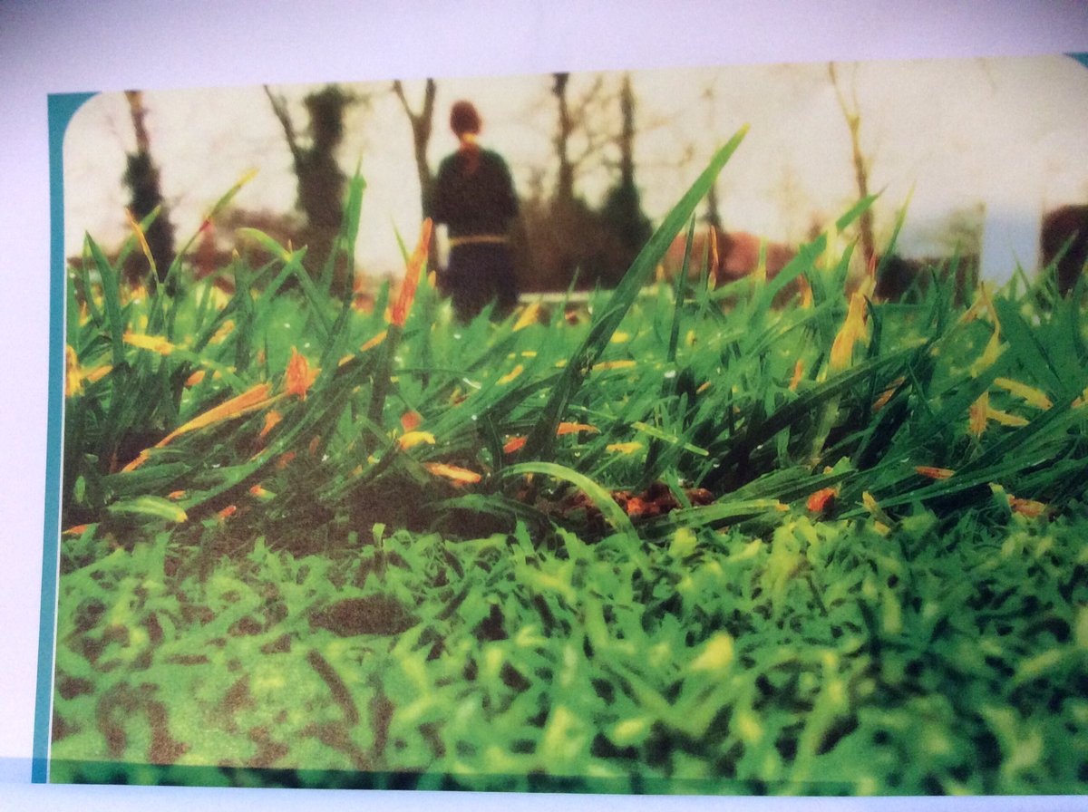 MrsBrydenEPS's tweet image. Some of our favourite photographs. #dunhamarts #picasa