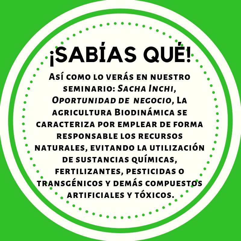 Seminário talle Sacha Inchi, Oportunidad de negocio