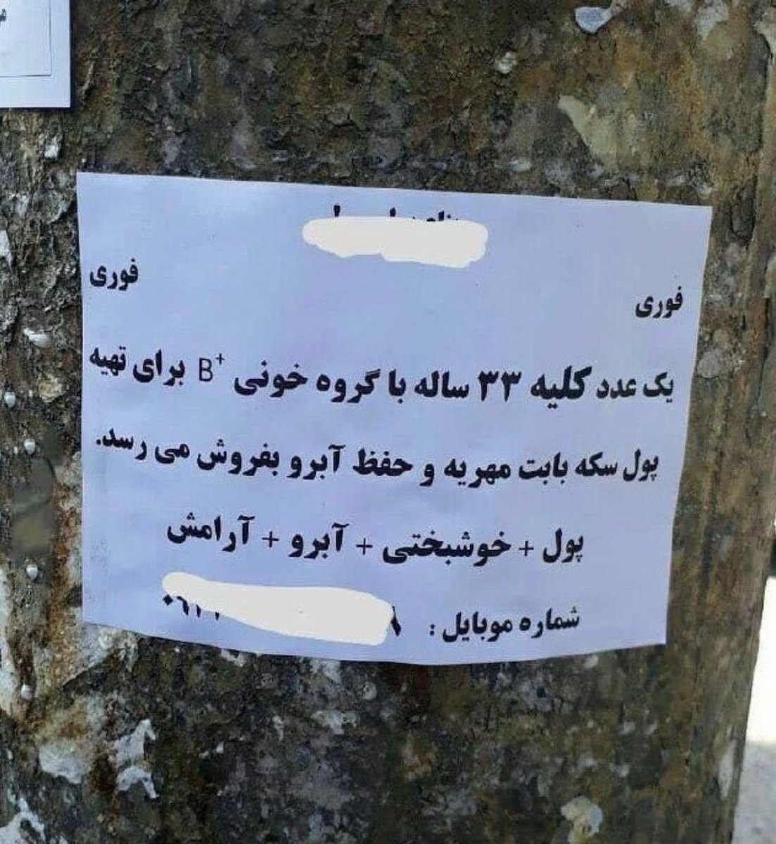 Samarya611's tweet photo. جدا از دردناکی عکس این چرا همه چیزو جمع زده؟ نباید یه مساوی هم میذاشت؟ https://t.co/bApv0mqdP6