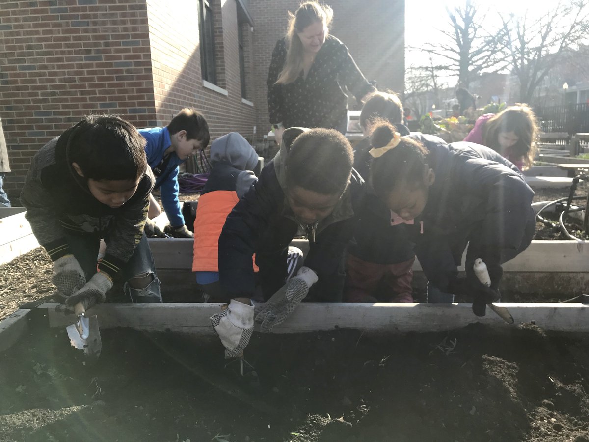 FoodPrintsCHCS's tweet photo. Not only did 2nd graders help prep the Watkins Garden for spring planting, but they also made connections between their Activism Unit &amp; Food Justice by contributing to a garden that helps feed their school community fruits &amp; veggies @CHCSPTA @FoodPrintsDC https://t.co/jf6TtZEW1m