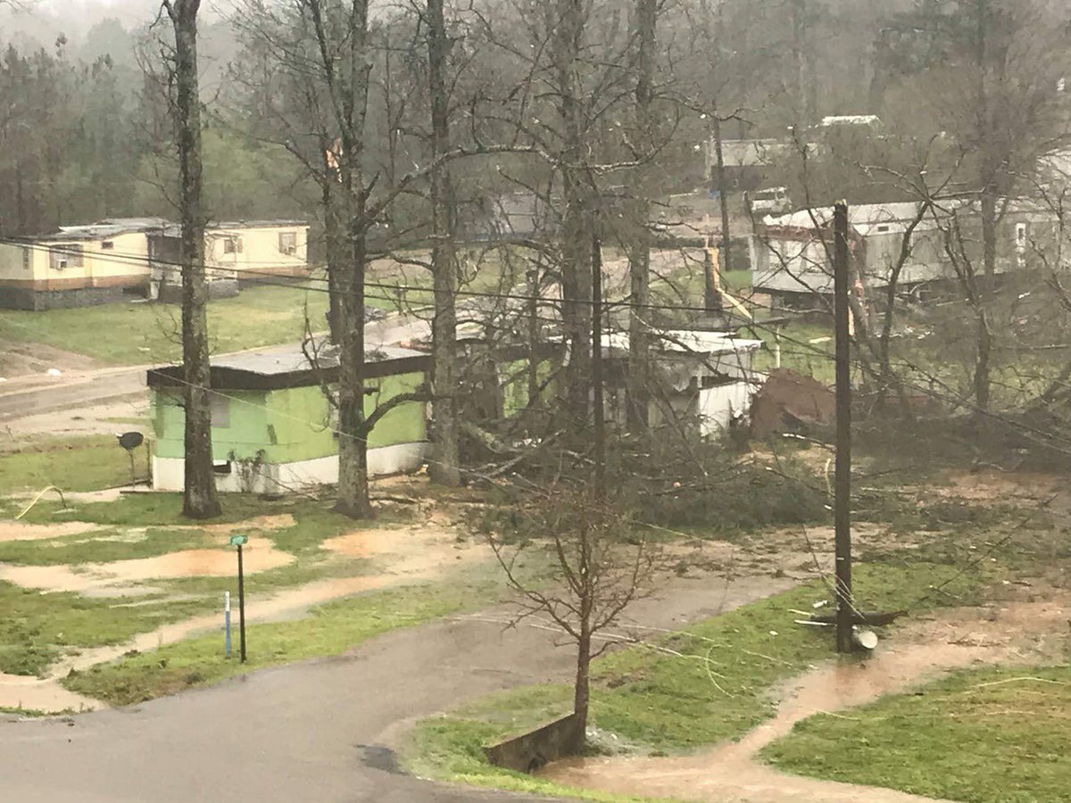 Tree right through the center of this mobile home in Allgood, just south of Oneonta.

(Photo creds: Pamela Casey)