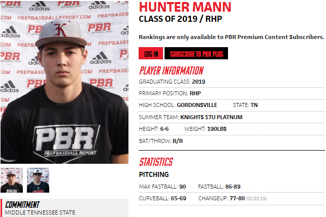 Prep Baseball Tennessee tweet media