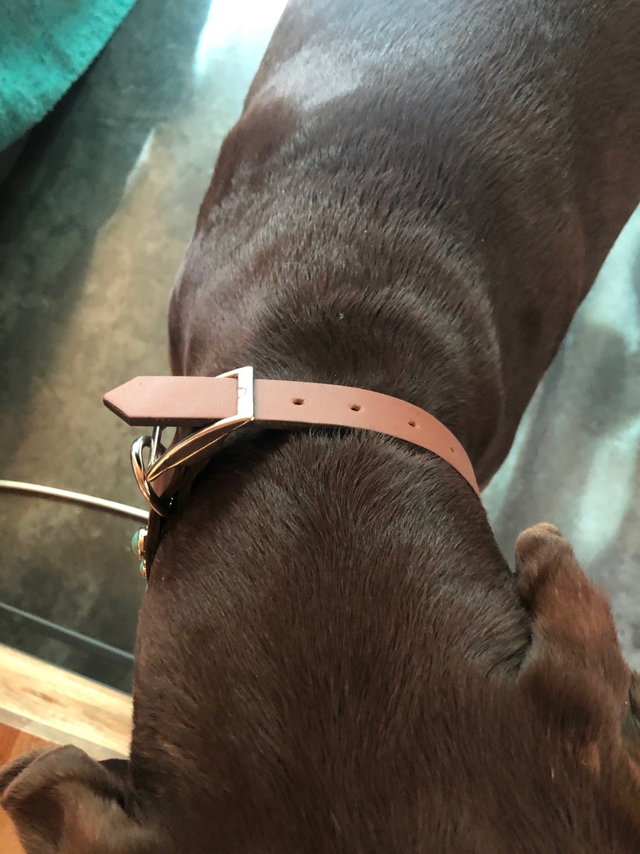 Chase Madrid tweet media