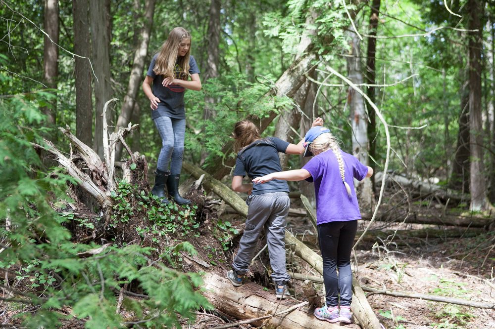 OntarioParks's tweet image. Children involved in unstructured play in nature are calmer and engage in richer imaginative play. #HPHP