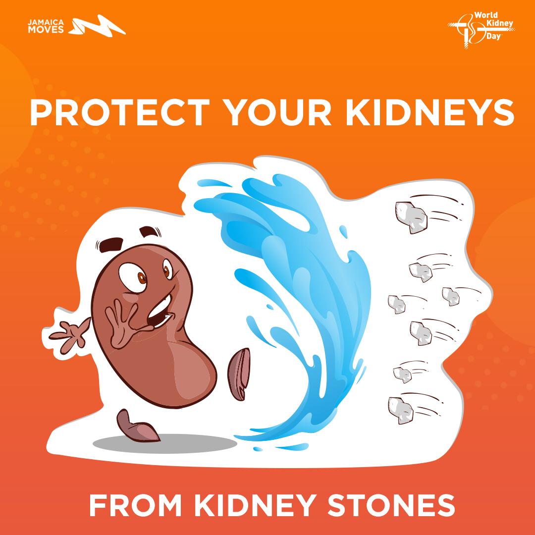 jamaica_moves's tweet photo. Drinking water helps you prevent the formation of kidney stones! The Recommended amount of water is 8 glasses (8 ounces) of water per day 💦
#JamaicaMoves #BeatNCDs #Move4Kidneys #EatForYourKindneys #WorldKidneyDayJa #WorldKidneyDay2019 #WorldKidneyWeek https://t.co/DNTujwD92r
