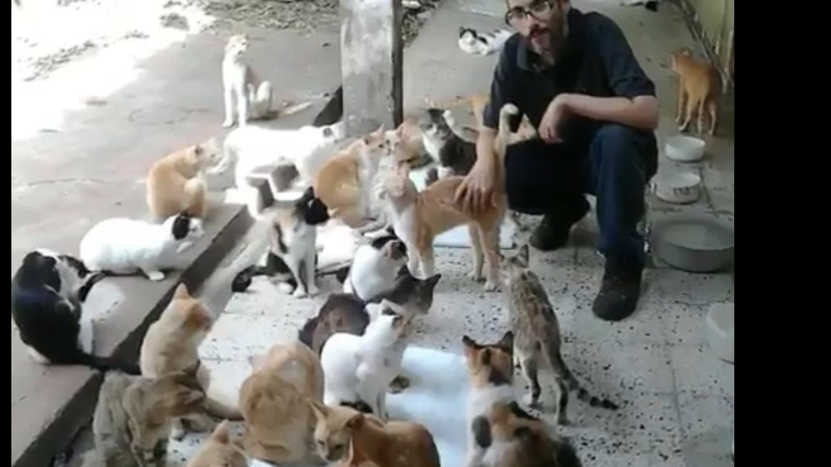lolamatt47's tweet photo. RT. @reinosoj2 and his wonderful Cat Sanctuary are in the middle of the Venezuelan Humanitarian Crisis. Pl support them by donating.They need urgent Help
https://t.co/GauYr3B1Mt
57 mouths to feed ❤️😻
#Solidarity #CatsOfTwitter 🙏 https://t.co/RJsvYDrQd5