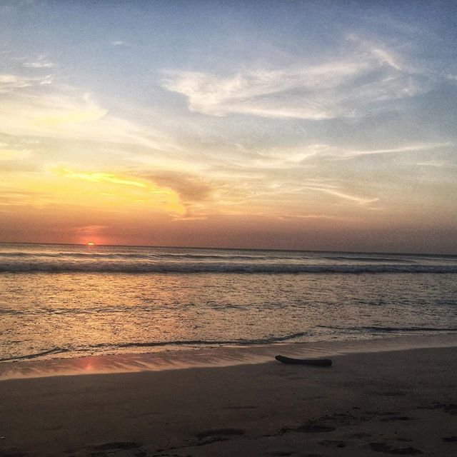 Portia 🌿 | Travel Writer tweet media