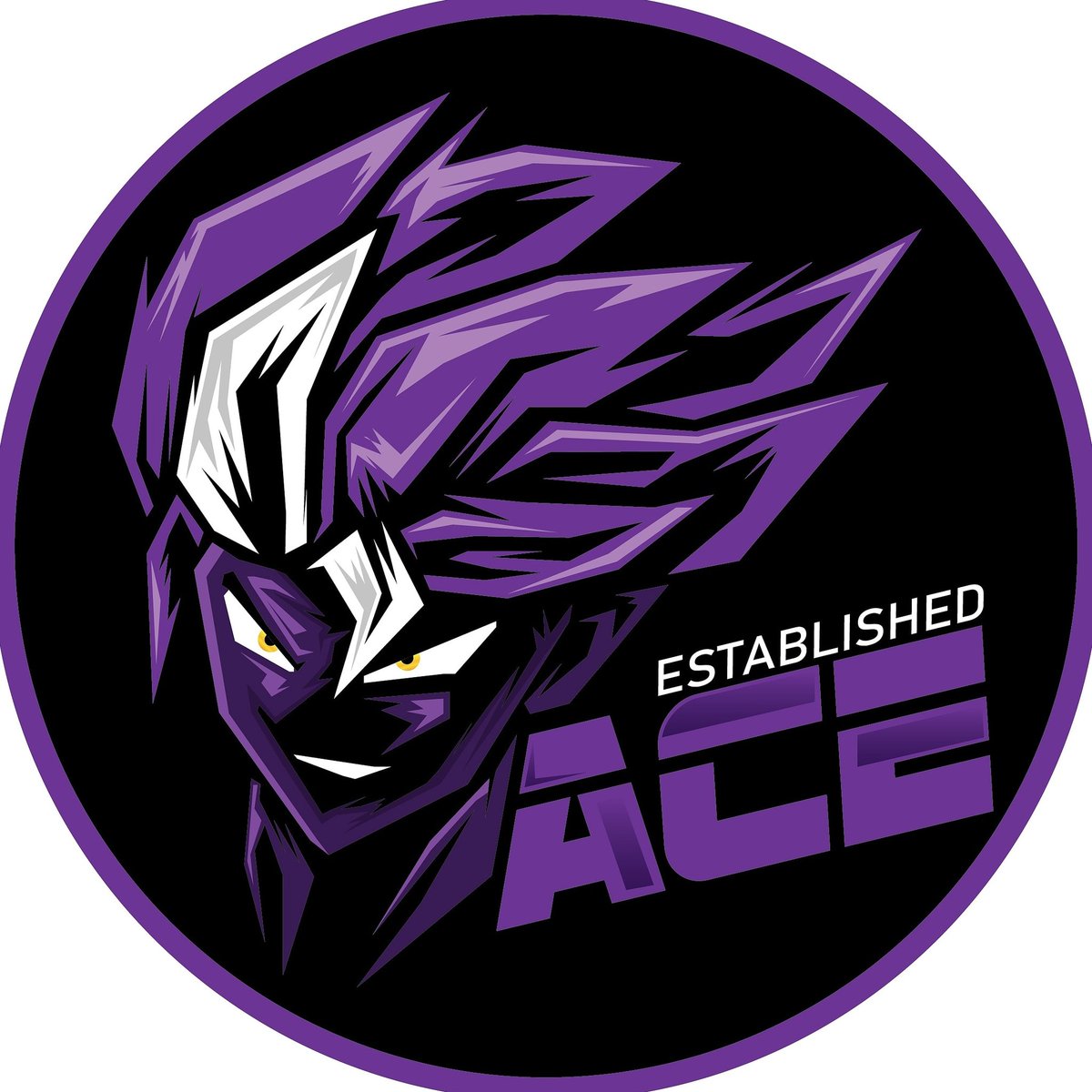 Established_Ace (AceEstablished) Twitter