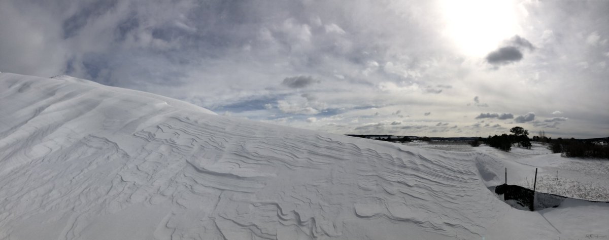 ForestLakesCo's tweet photo. Mother Nature #march2019blizzard #colorado #forestlakescolorado https://t.co/9bz54qTsMh