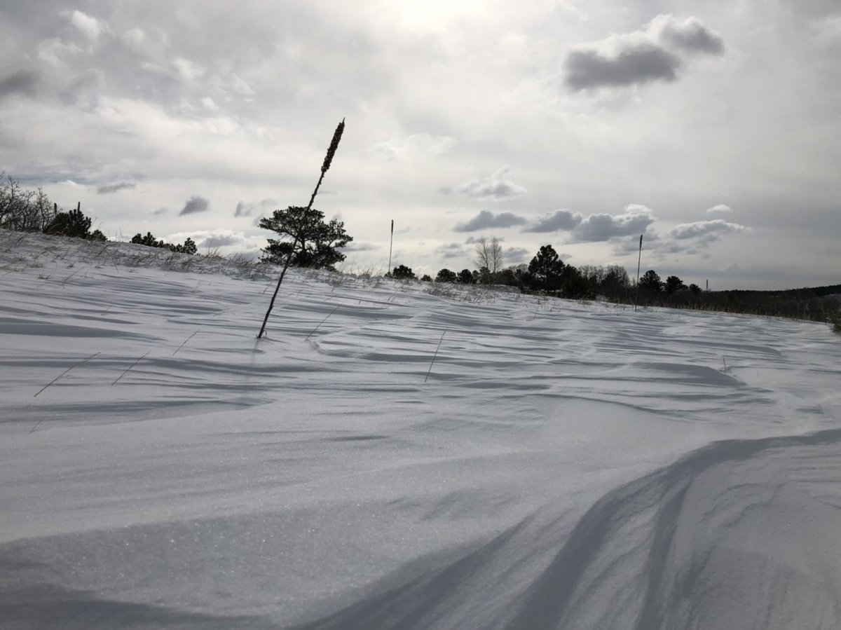 ForestLakesCo's tweet photo. Mother Nature #march2019blizzard #colorado #forestlakescolorado https://t.co/9bz54qTsMh