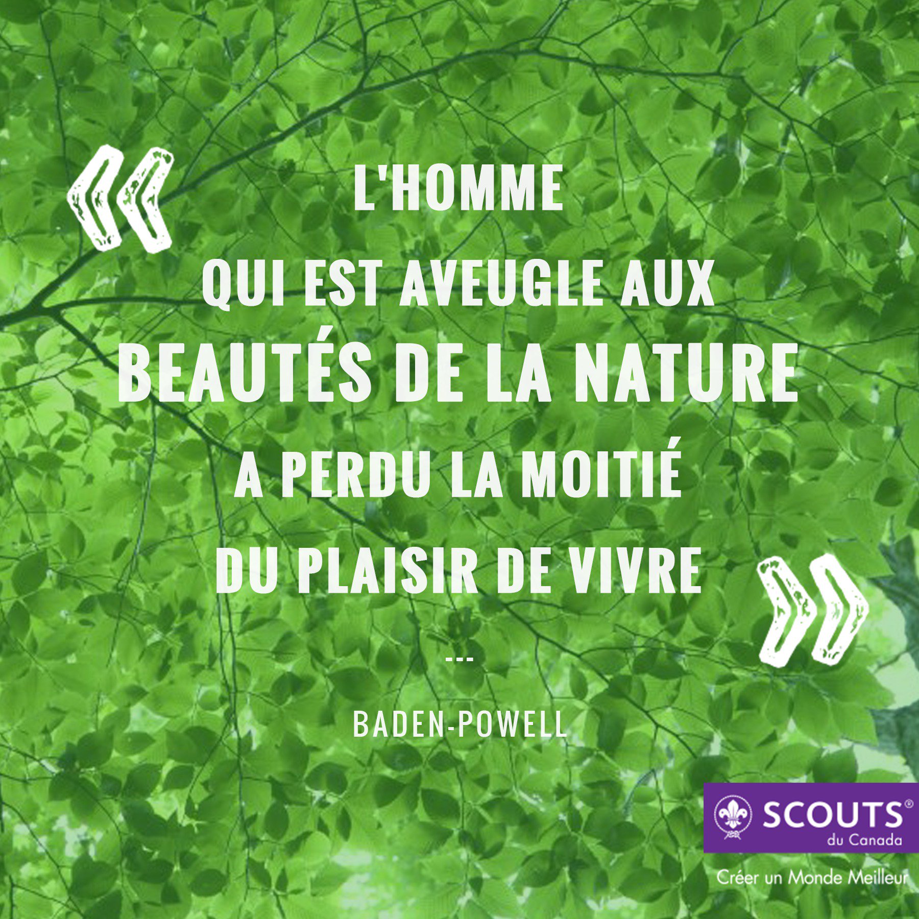 Association Des Scouts Du Canada Citation Du Jour L Homme Qui Est Aveugle Au Beautes De La Nature A Perdu La Moitie Du Plaisir De Vivre Badenpowell Preservons Notre Terrain Association Des Scouts Du Canada Citation Du Jour L Homme Qui Est Aveugle Au Beautes De La Nature A Perdu La Moitie Du Plaisir De Vivre Badenpowell Preservons Notre Terrain
