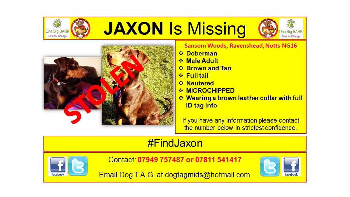 DogTAGMids's tweet photo. STOLEN
Where is Jaxon
#FindJaxon
Missing too long
#pettheftawareness #DogTheftAwarenessDay https://t.co/5bJ3SKYJ1H