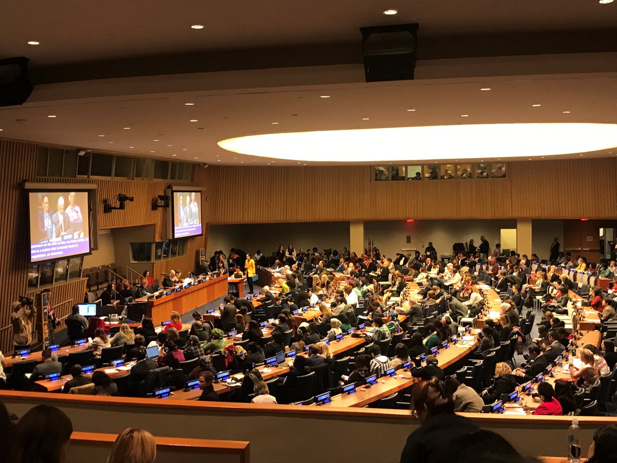 NWAC_CA's tweet photo. The #NWACAccord positions Indigenous women as having a national voice at decision making tables. To empower Indigenous women and girls globally, governments must be held accountable. #UNCSW63 #CSW63 #MyCSW https://t.co/jHBKixvaS5