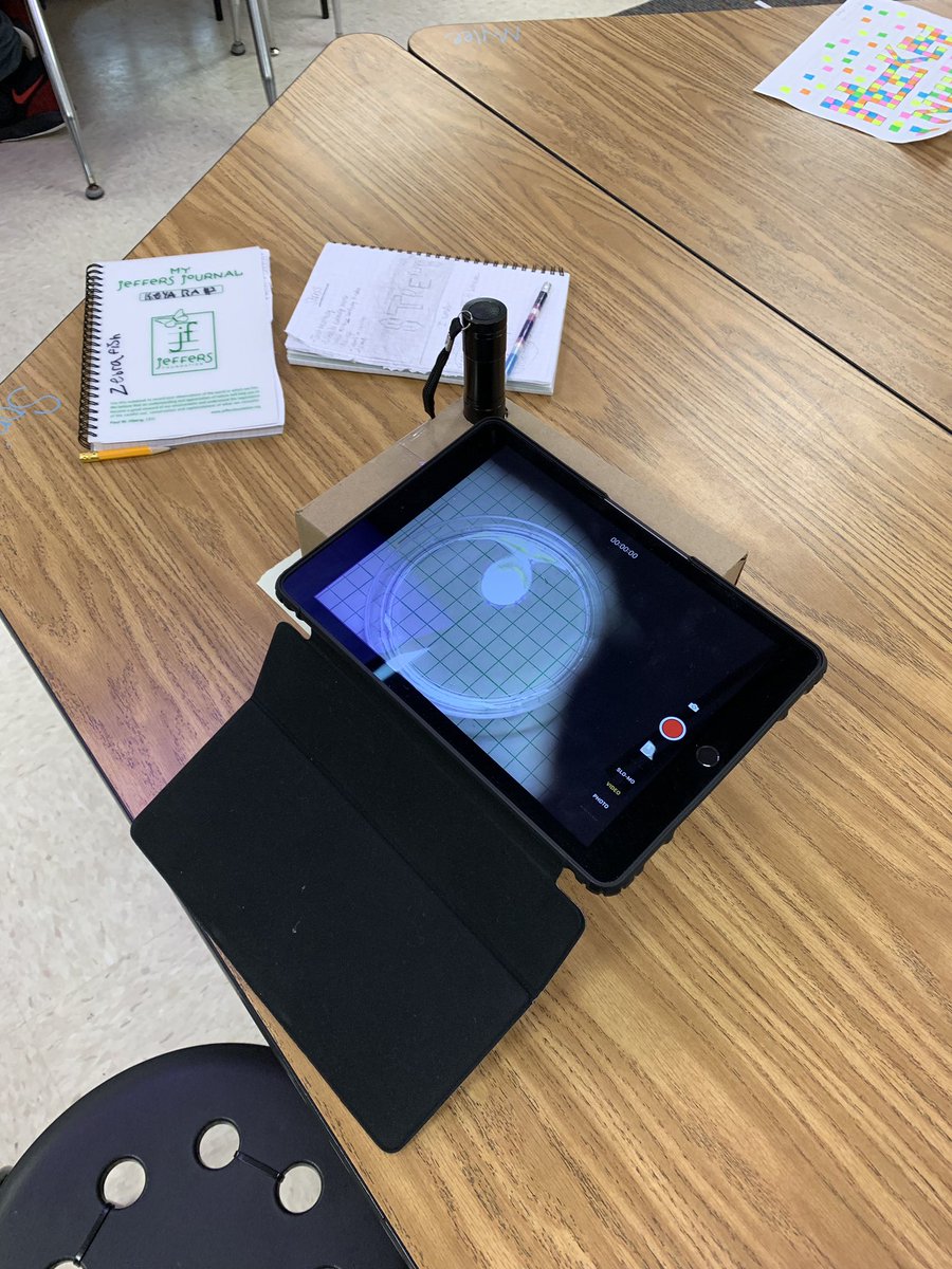 Fifth graders <a href="/DietrichGrade5/">Chelsie Dietrich</a> experimenting to find out if different music can calm zebrafish. Can the same music calm us? <a href="/InSciEdOut/">InSciEd Out</a> <a href="/RiversideOtters/">Riverside Central Elementary School</a>