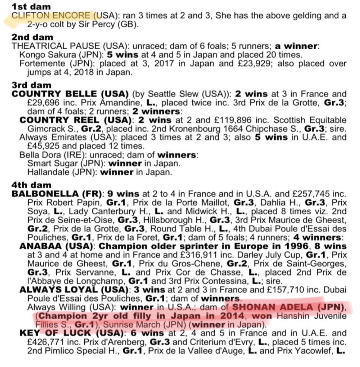Readswoodstud's tweet image. The one to buy is @Readswoodstud My beautiful @SirPercy_sire 3yr old, Gelding, from the wonderful family of #Anabaa #KeyOfLuck and #CountryReel ( Dam sire of #Frodon) #CheltenhamFestival