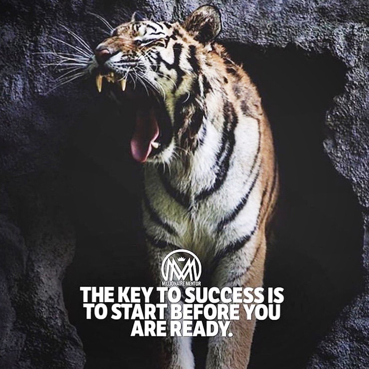 krystalscreate's tweet photo. ✨🐅You won’t ever be ready if you don’t every start and try! 
Photo Creds: @millionaire_mentor 
.
.
.
#KCMITEMS #KCMQUOTES #KCMBRACELETS #KCMTSHIRTS #KCMSHIRTS #KCMNECKLACE #KCMJEWELRY #quotes #motivate #motivation #inspiration #inspirational #inspirationalquotes #tiger #grit https://t.co/gh0ReIVmCj