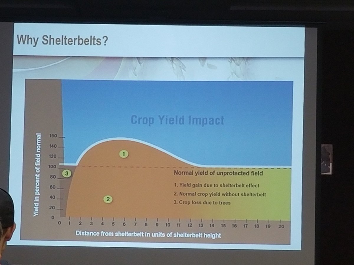 raju_aafc's tweet photo. Benefits of #shelterbelts on crop yield @SaskCanola @AFTAgroforestry @EURAF_AF @wca https://t.co/WNkh24YabE