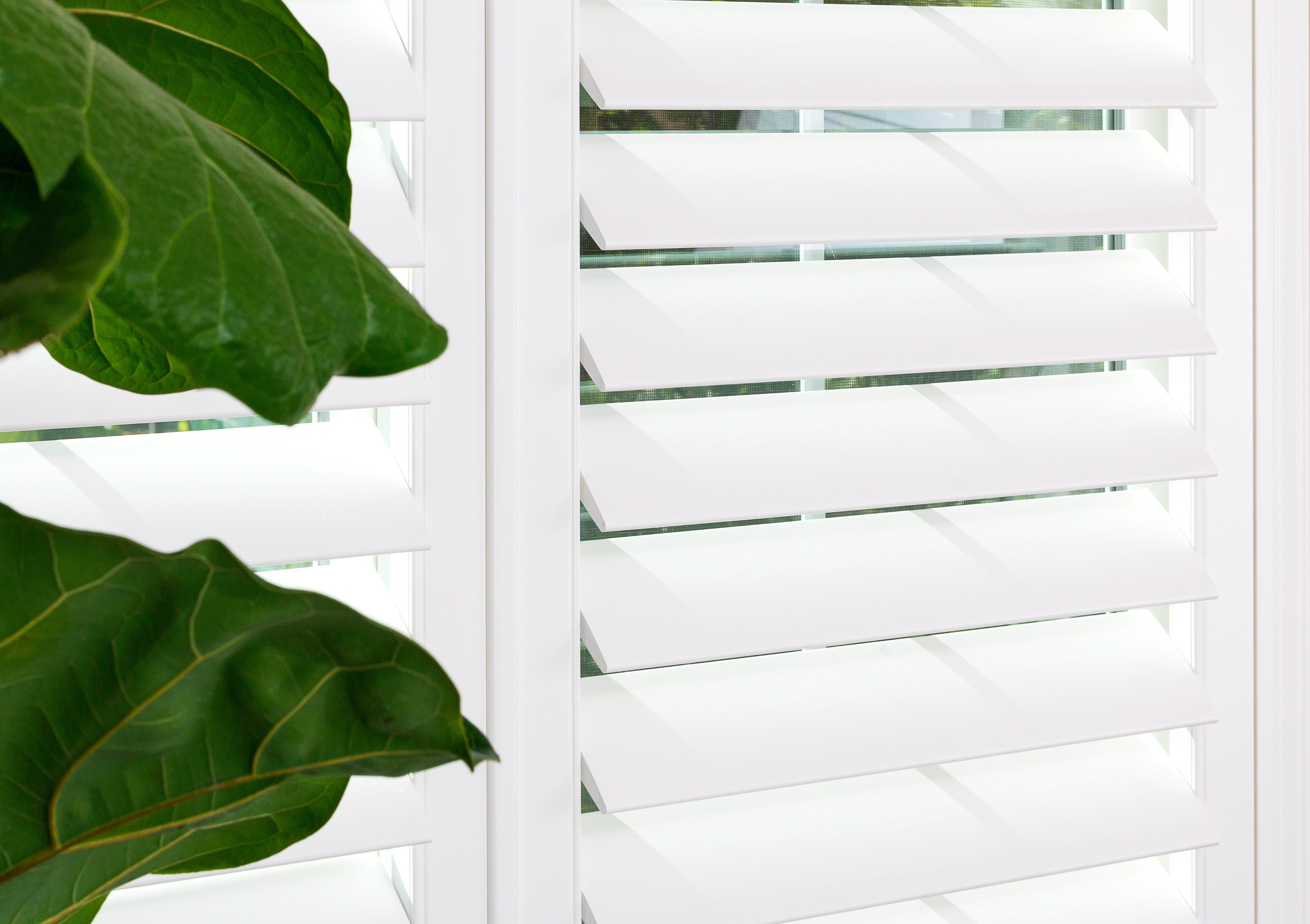3 Day Blinds (3DayBlinds) / Twitter
