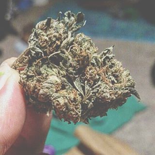 friedadyal's tweet image. feeling good