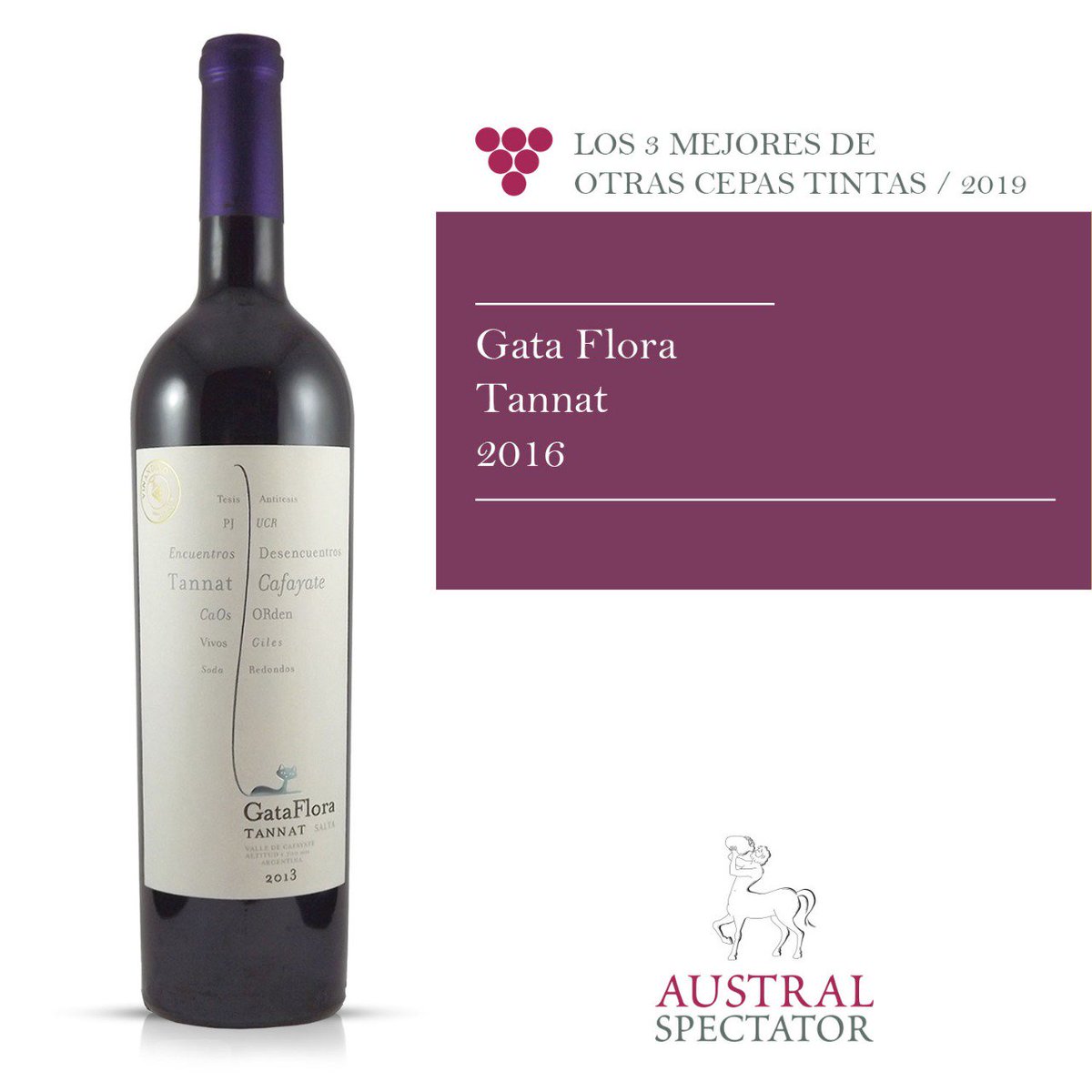 VinosAustral's tweet photo. #GataFlora #Tannat 2016 de #VasijaSecreta
Fuerte, brioso y elegante como un potro de raza. https://t.co/elknMUUKe8