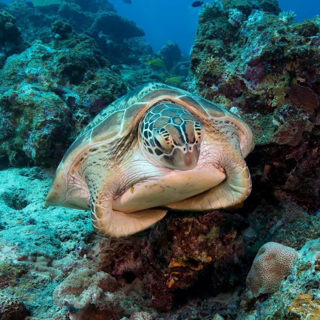 Australia's tweet image. Get your weekend started with this week's #seeaustralia Favourite Fan Photos 🎉 bit.ly/FanPhotos1503